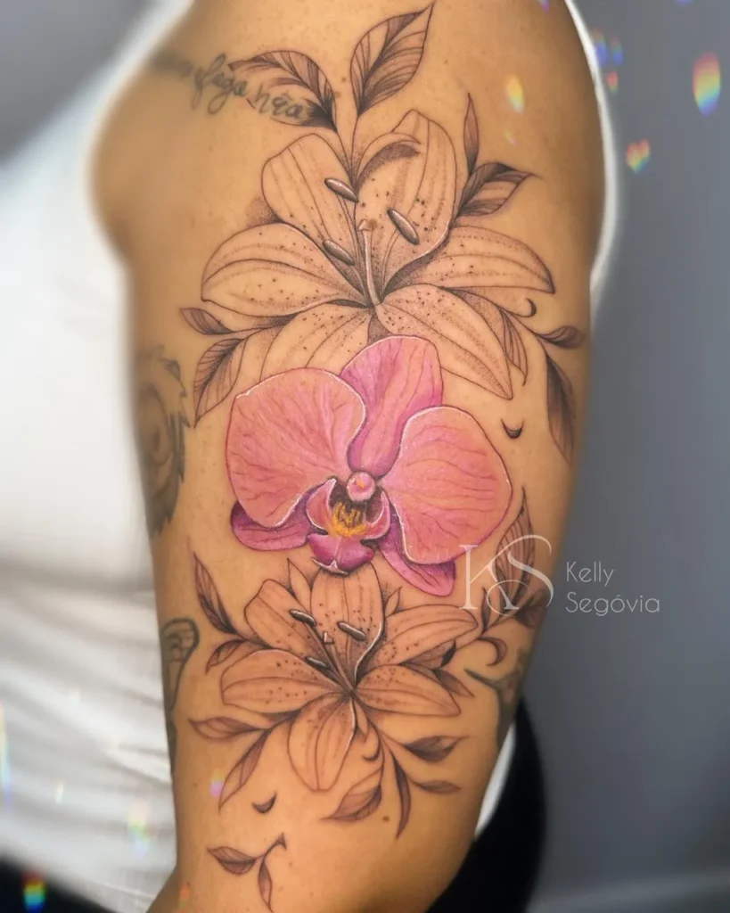 orquidea